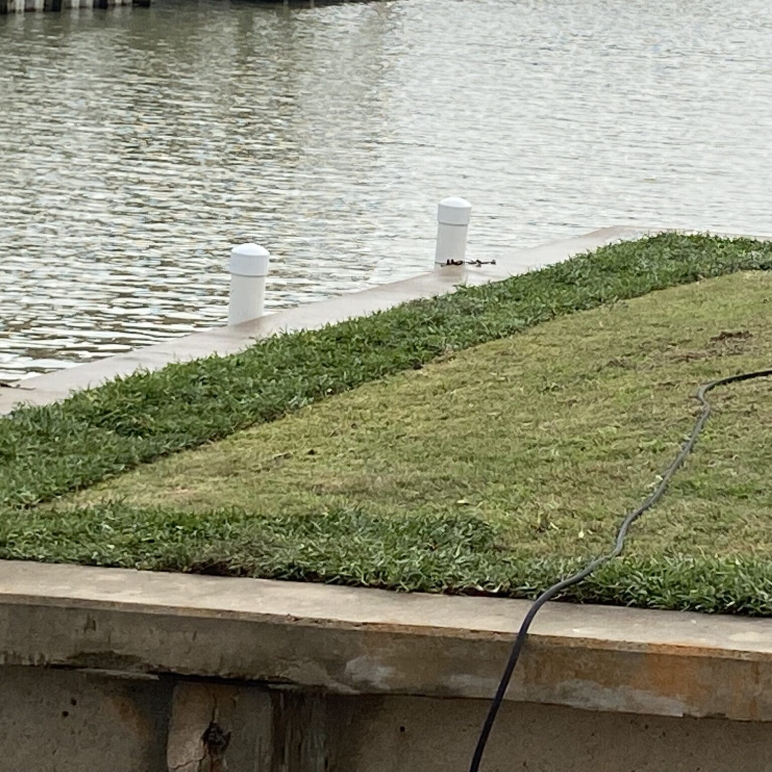 Grass area by water with white posts.